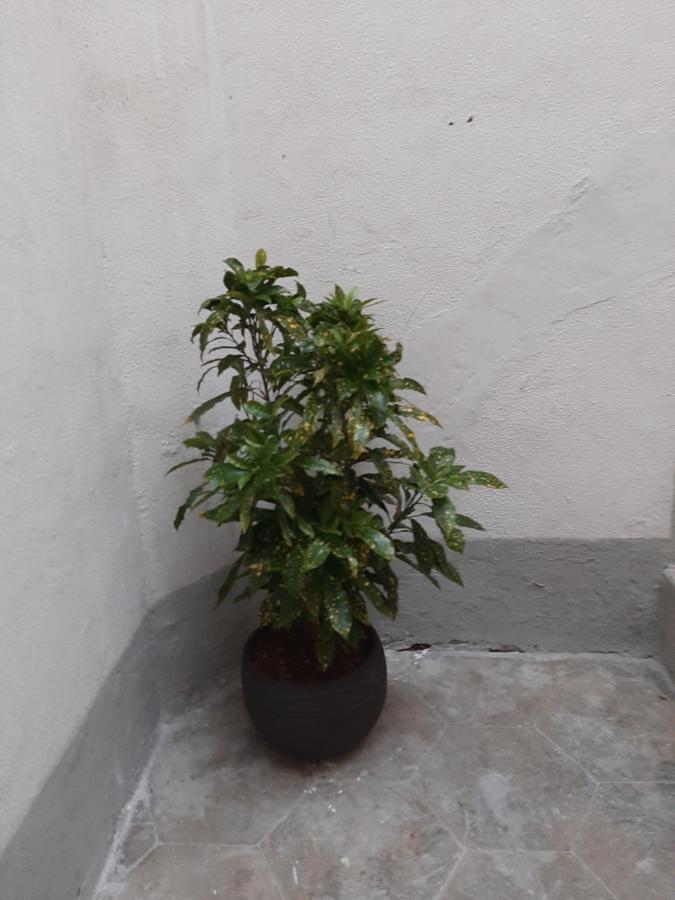 Ferienwohnung Al Crocifisso...Da Nonna Pia Salerno Exterior foto
